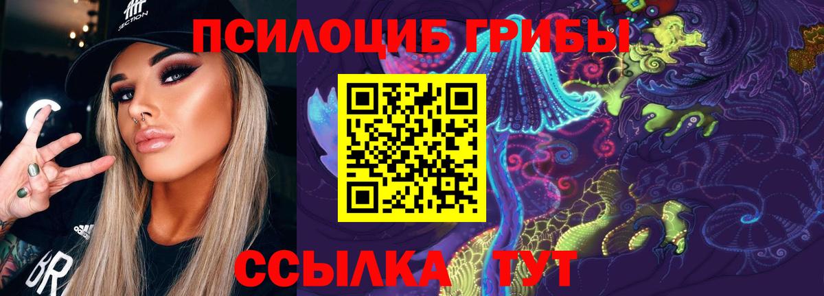 Красноярск  Галлюциногенные грибы Psilocybine cubensis  Вход с VPN 